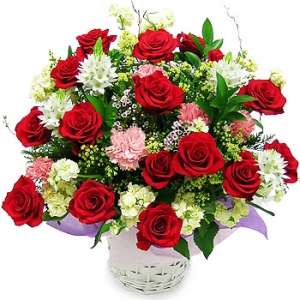 �󼼳��뺸��