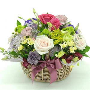 »ó¼¼³»¿ëº¸±â