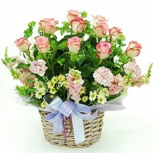 »ó¼¼³»¿ëº¸±â