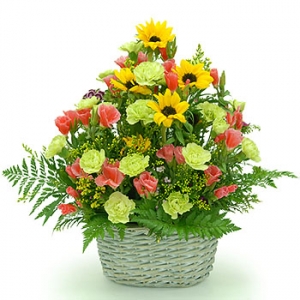 �󼼳��뺸��