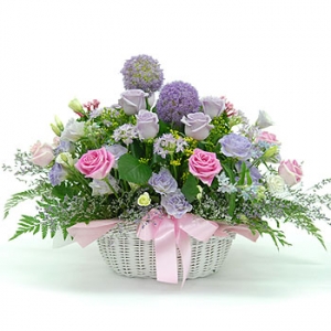 �󼼳��뺸��