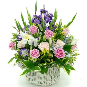 �󼼳��뺸��