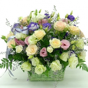 �󼼳��뺸��