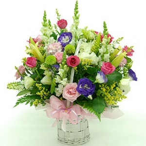 �󼼳��뺸��