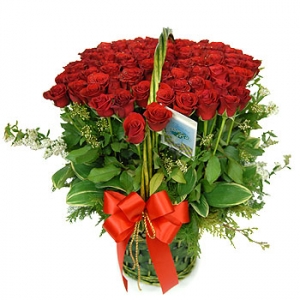 »ó¼¼³»¿ëº¸±â