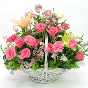 »ó¼¼³»¿ëº¸±â