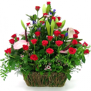 �󼼳��뺸��