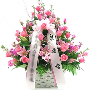 �󼼳��뺸��