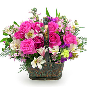 �󼼳��뺸��