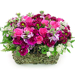 �󼼳��뺸��