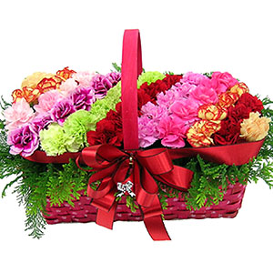 �󼼳��뺸��