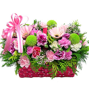 �󼼳��뺸��