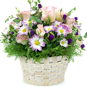 �󼼳��뺸��