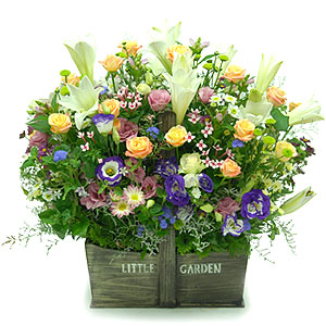 �󼼳��뺸��