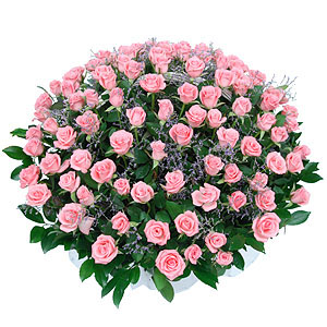 �󼼳��뺸��