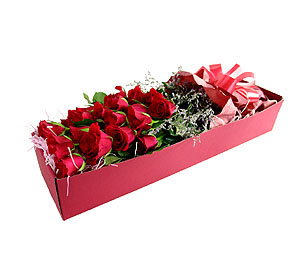 �󼼳��뺸��