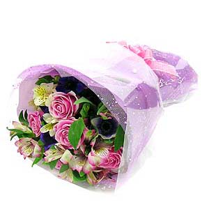 �󼼳��뺸��