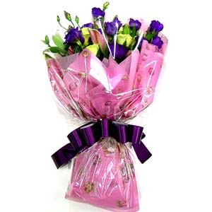 �󼼳��뺸��