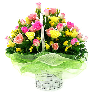 �󼼳��뺸��