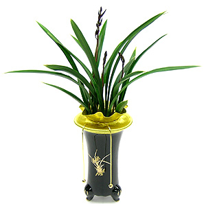 �󼼳��뺸��