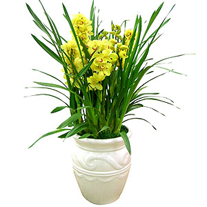 �󼼳��뺸��