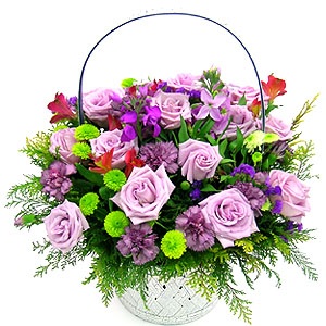 �󼼳��뺸��