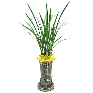 �󼼳��뺸��