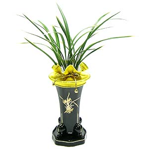 �󼼳��뺸��