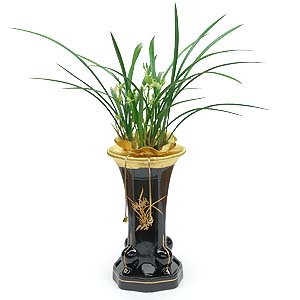 �󼼳��뺸��