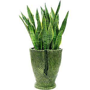 �󼼳��뺸��