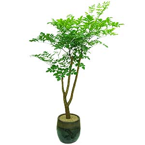 �󼼳��뺸��