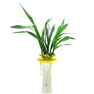 �󼼳��뺸��