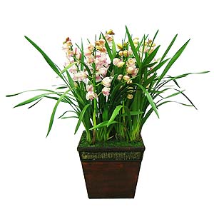 �󼼳��뺸��