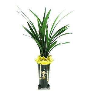 �󼼳��뺸��