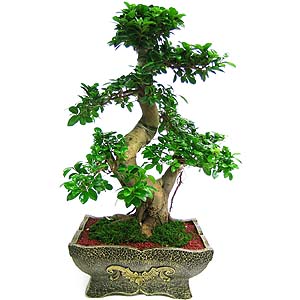 »ó¼¼³»¿ëº¸±â