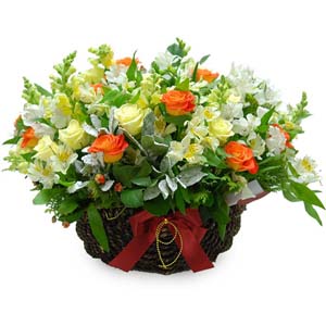 »ó¼¼³»¿ëº¸±â