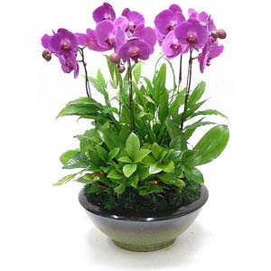 »ó¼¼³»¿ëº¸±â