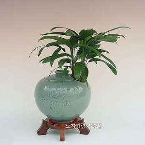 �󼼳��뺸��