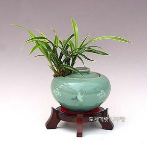 »ó¼¼³»¿ëº¸±â