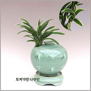 �󼼳��뺸��