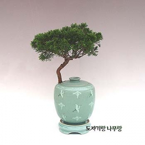 �󼼳��뺸��