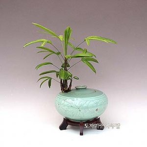 �󼼳��뺸��