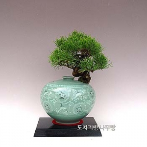 �󼼳��뺸��