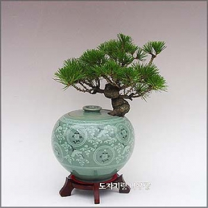 �󼼳��뺸��