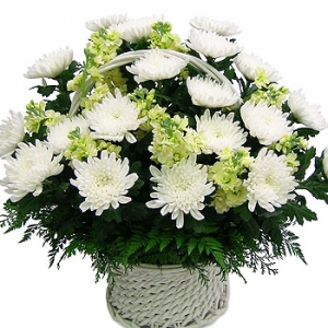 �󼼳��뺸��