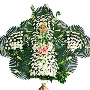 »ó¼¼³»¿ëº¸±â