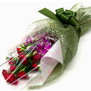 �󼼳��뺸��