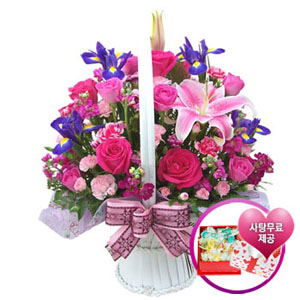 �󼼳��뺸��