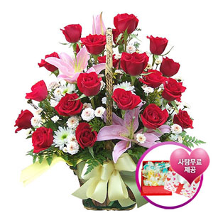 �󼼳��뺸��