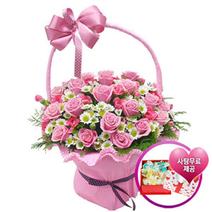 �󼼳��뺸��